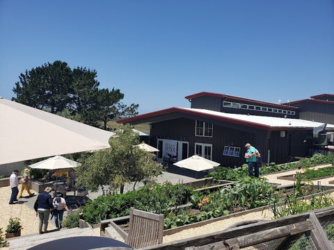 Cowgirl Creamery photo 1