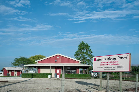 Knaus Berry Farm photo 1