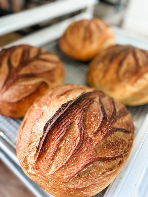 Spread the Loaves photo 2