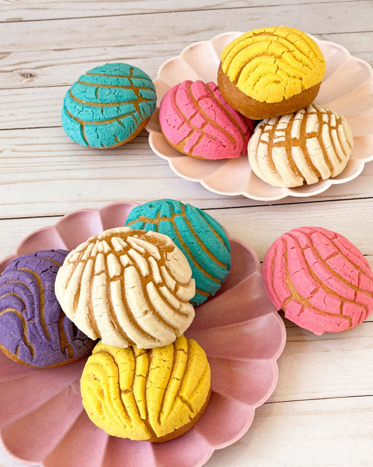 Conchas and pan dulce at El Bolillo Bakery in Houston
