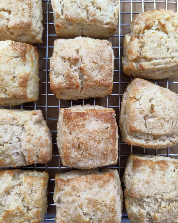Filigree_Bakery_Biscuits