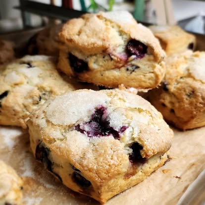 Savory_Bakehouse_Blueberry_Scones