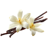 Vanilla