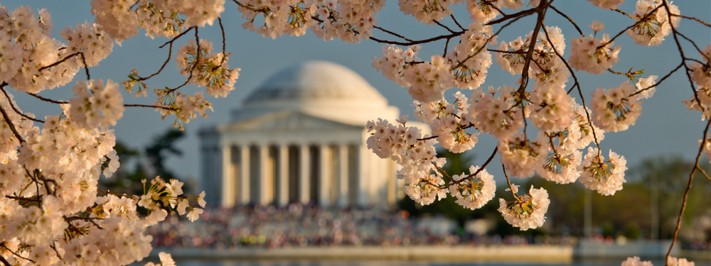Washington, DC featured in the Follow the Dough dessert tour collection
