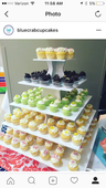 Blue Crab Cupcakes logo