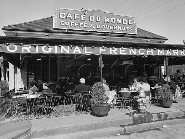 Café Du Monde photo 1