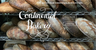 Continental Bakery logo