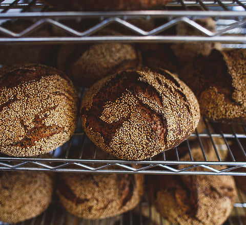 Motzi Bread Bakery Baltimore, MD fresh bread