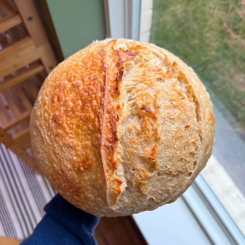 Sourdough Bread