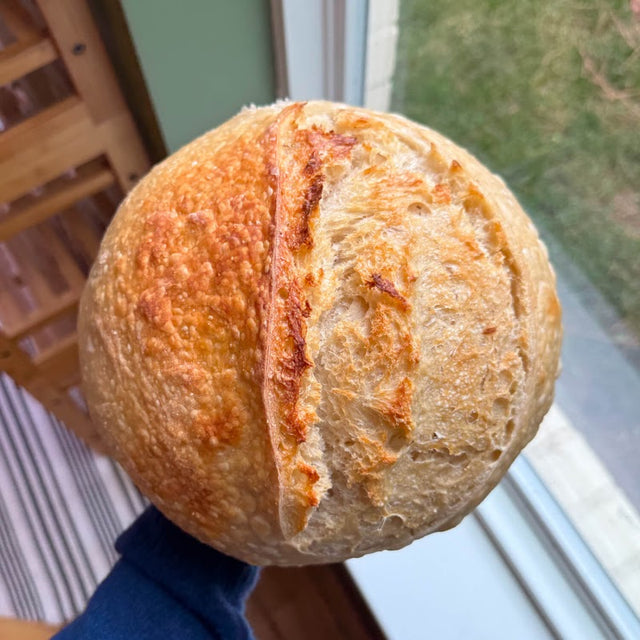 Sourdough Bread