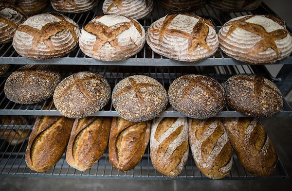 Prager Brothers Artisan Breads photo 2