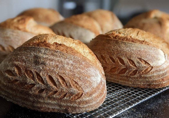 The Ancestral Oven, Sourdough Bakery and Café Oak Lawn, IL 
