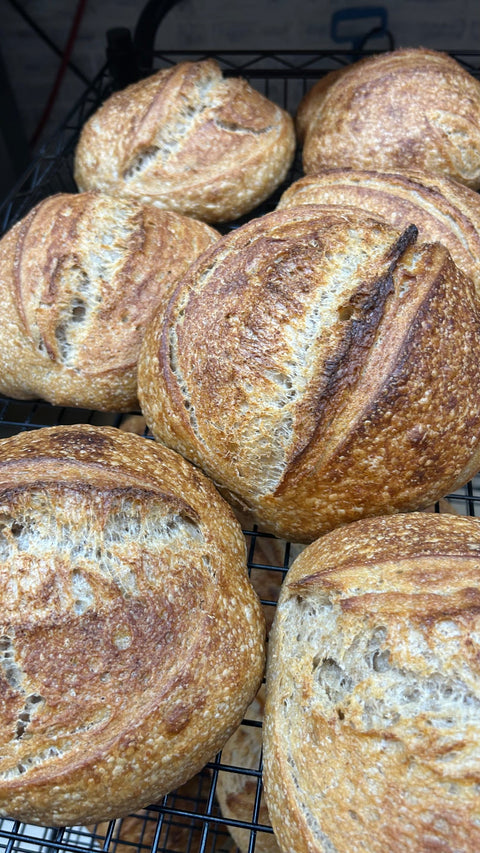 The Love Loaf Bakery Fort Lauderdale, FL 1296x