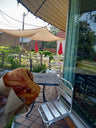 Vine Sourdough Bakery logo