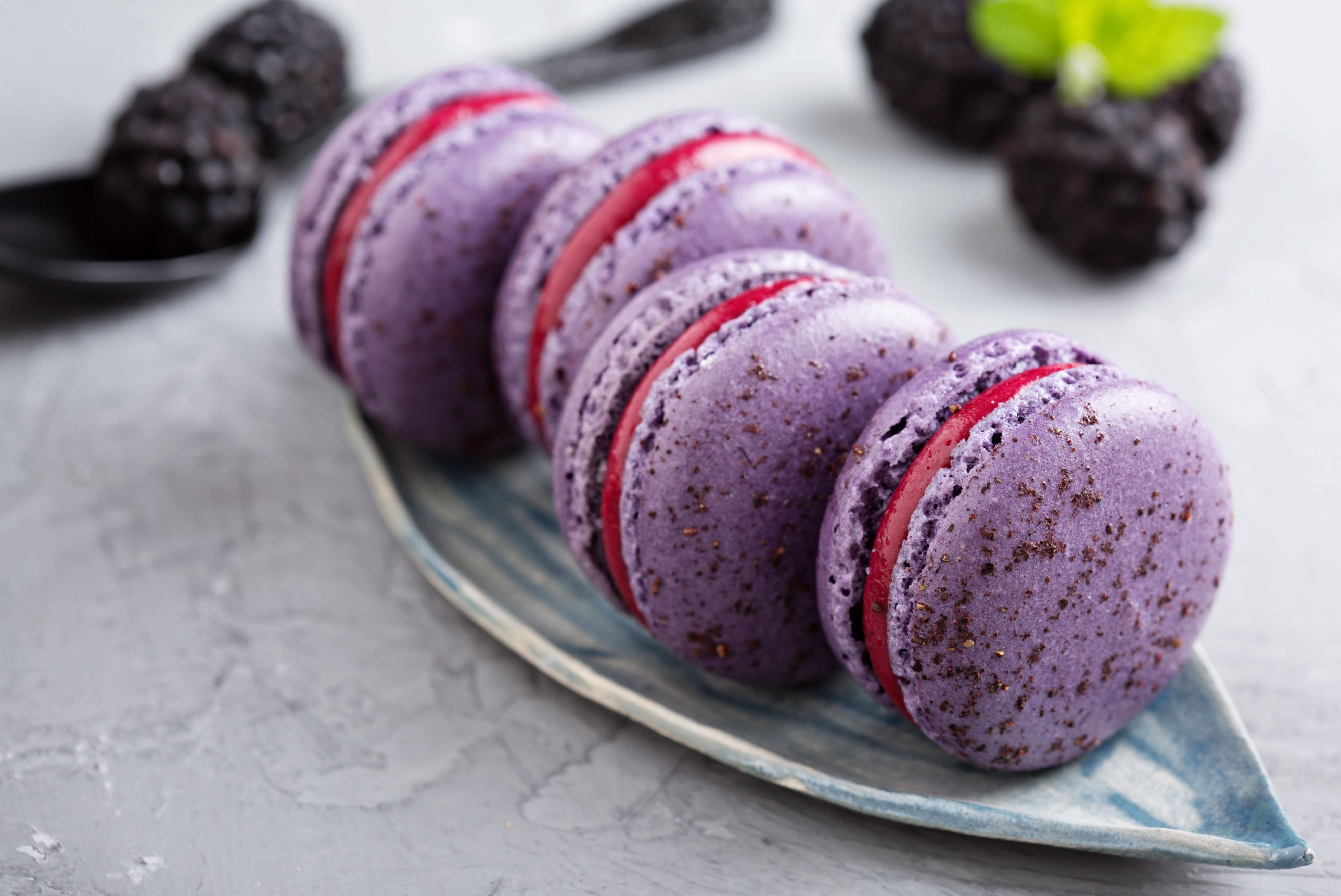 Blueberry Macarons